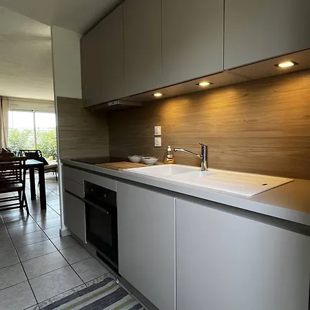 Lejlighed Pavillon T3 Climatise Avec Terrasse Et Parking Prive A - Fr-1-696-91 Canet-en-Roussillon